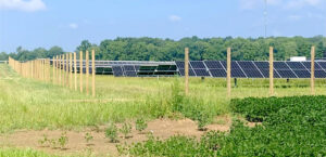 York Twp. requests a green energy ban