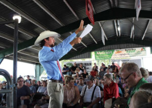 Livestock sale hits new record: $400K