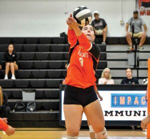 North Union volleyball earns district accolades