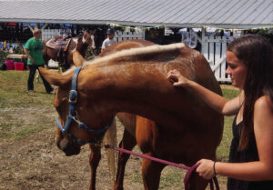 Union County Fair comes to a successful close